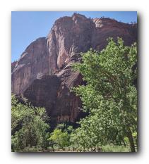 Zion NP 37.jpg